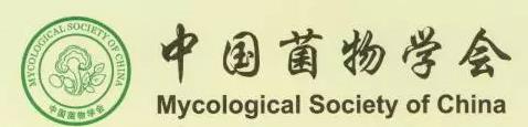 圖片關(guān)鍵詞 圖片關(guān)鍵詞