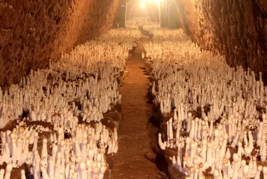 圖片關(guān)鍵詞 圖片關(guān)鍵詞