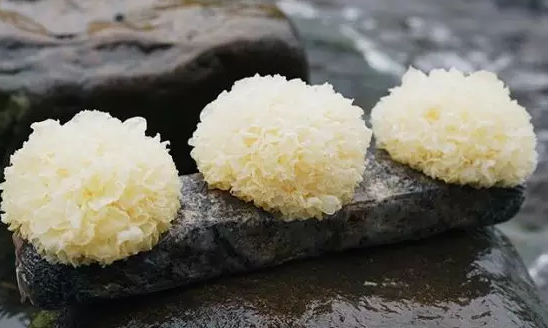 圖片關鍵詞 http://m.gdxshca.cn/ewebeditor/uploadfile/20180328092751720001.png