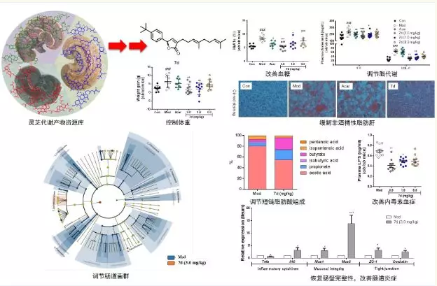 圖片關鍵詞 圖片關鍵詞