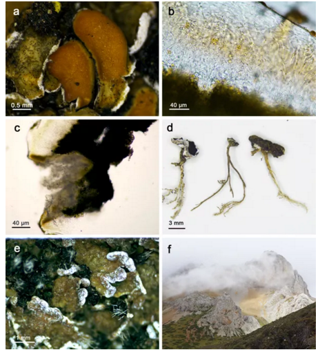 圖片關(guān)鍵詞 圖片關(guān)鍵詞