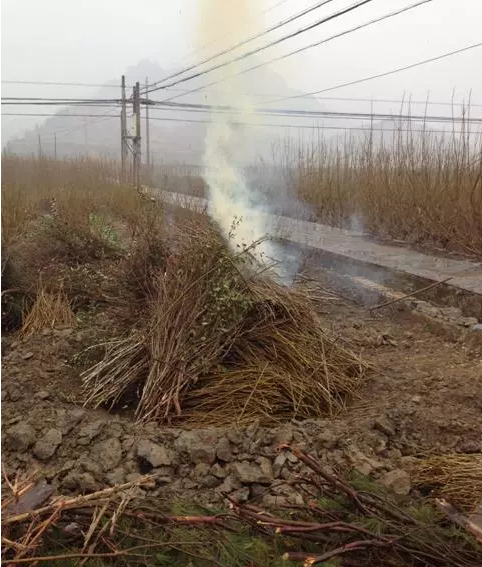 圖片關(guān)鍵詞 圖片關(guān)鍵詞