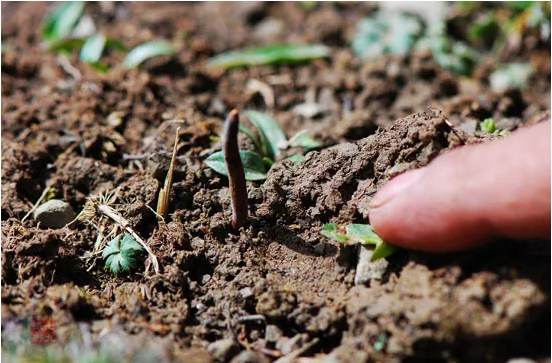 圖片關(guān)鍵詞 http://m.gdxshca.cn/ewebeditor/uploadfile/20180921101313325001.png