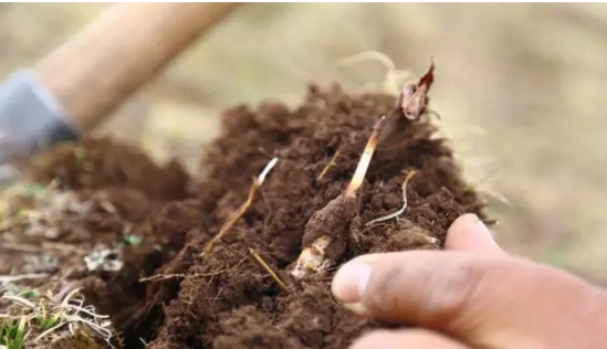 圖片關(guān)鍵詞 http://m.gdxshca.cn/ewebeditor/uploadfile/20180921101228689001.png