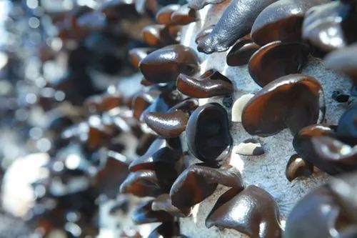 圖片關鍵詞 圖片關鍵詞