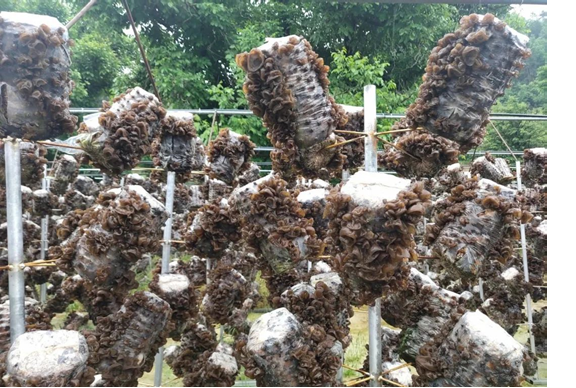 圖片關(guān)鍵詞 圖片關(guān)鍵詞