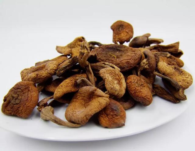 國家蘑菇地理：中國哪里的蘑菇最好吃？
