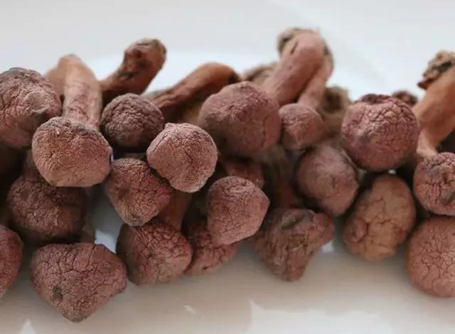 國家蘑菇地理：中國哪里的蘑菇最好吃？