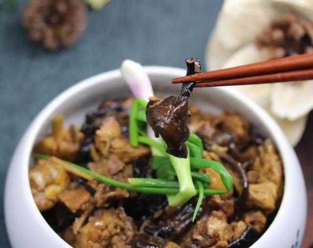 國家蘑菇地理：中國哪里的蘑菇最好吃？