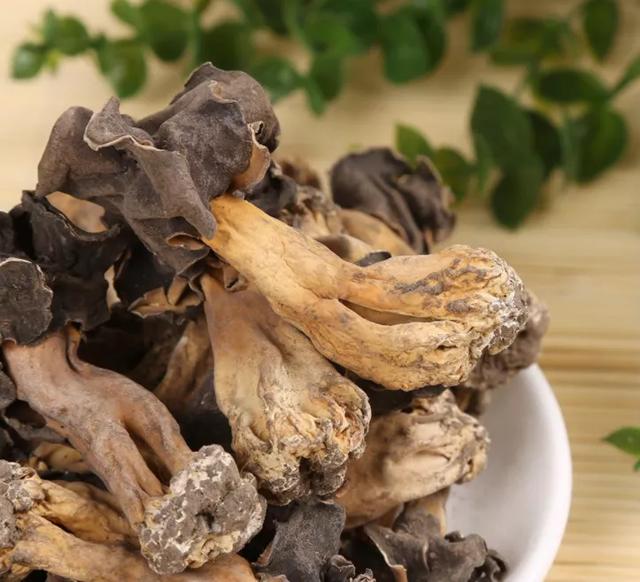 國家蘑菇地理：中國哪里的蘑菇最好吃？