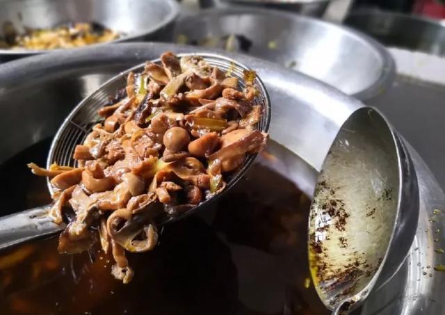 國家蘑菇地理：中國哪里的蘑菇最好吃？