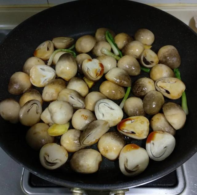 國家蘑菇地理：中國哪里的蘑菇最好吃？