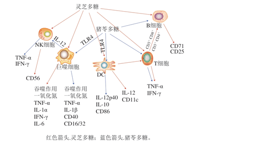 圖片關(guān)鍵詞 圖片關(guān)鍵詞