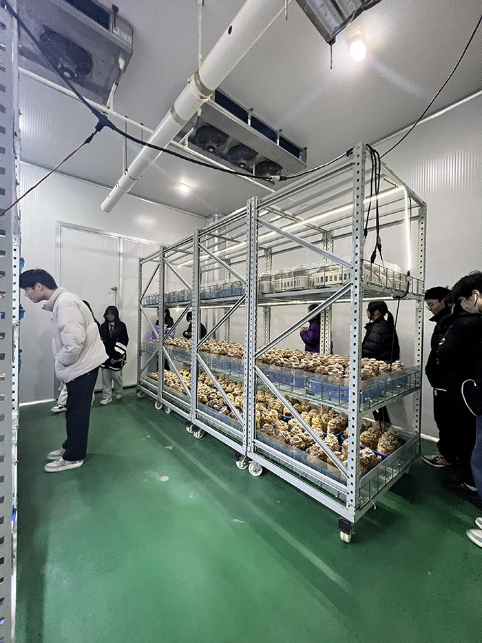 圖片關(guān)鍵詞 圖片關(guān)鍵詞